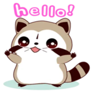 🙂 Hello! mapache, lindo, animal, dibujos animados, hola whatsapp sticker