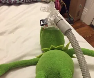 😷 Kermit Kermit la Rana, Marioneta, Equipo médico, Juguete telegram sticker
