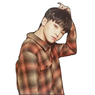 🤔 potret, orang, pria, model, kemeja kotak-kotak telegram sticker
