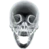 🩻