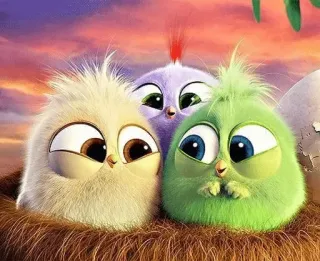 💞 Angry Birds птицы, милый, мультик, животные, гнездо telegram sticker