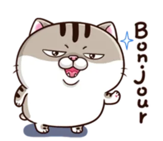 👋 Bonjour Katze, Bonjour, Französisch, Gruß, Süß, Tier whatsapp sticker