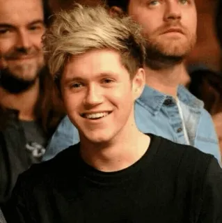 ✨ Niall Horan นักร้อง, คนดัง, ไนออล ฮอแรน, วันไดเรกชัน, เพลงป็อป, ศิลปิน telegram sticker