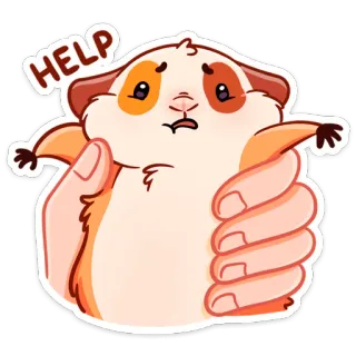 😵 HELP porcellino d'India, animale domestico, animale, aiuto, carino, cartone animato, rovinato telegram sticker