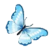 🦋