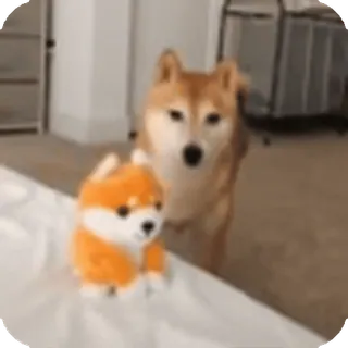 🌟