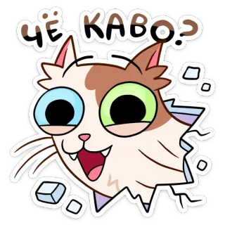 🤨 ЧЁ КАВО? Katze, Sticker, Russisch, Cartoon, Ausdruck telegram sticker