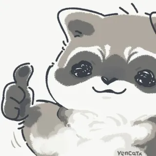 👍 raccoon, animal, cute, thumb up, illustration telegram sticker