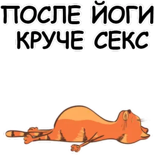 🐱 ПОСЛЕ ЙОГИ
КРУЧЕ СЕКС Joga, Kot, Relaks, Śmieszne, Rosyjski whatsapp sticker