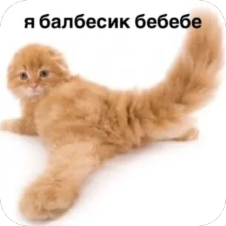 🫥 я балбесик бебебе telegram sticker