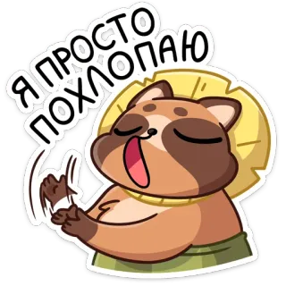 🤪 Я ПРОСТО ПОХЛОПАЮ mapache, aplaudiendo, divertido, lindo, animal, dibujos animados whatsapp sticker