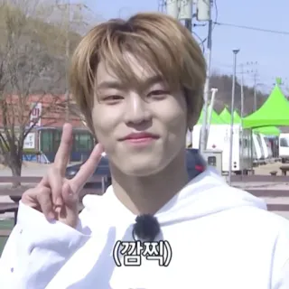 ✌  (깜찍) carino, segno di pace, sorridente, persona, coreano, ragazzo whatsapp sticker