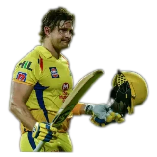 🏏 Cricket, Atleta, Sport, Giocatore di cricket telegram sticker