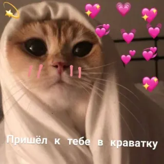 💖 Пришёл к тебе в кроватку แมว, หัวใจ, น่ารัก, นางฟ้า, เตียง, สัตว์ whatsapp sticker