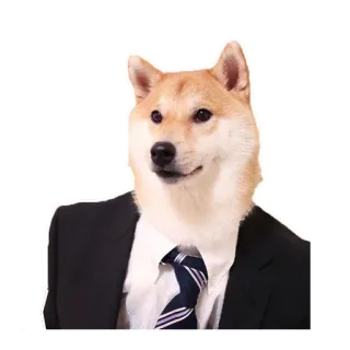 👔 собака, сиба ину, костюм, бизнес, галстук telegram sticker