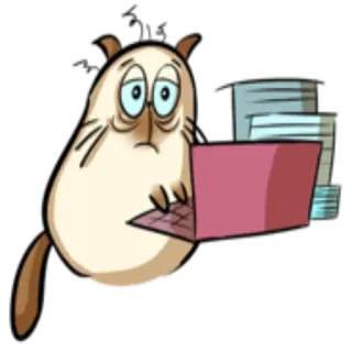 💻 gato, portátil, cansado, ordenador, trabajo, dibujo animado telegram sticker