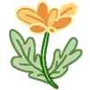 🌼