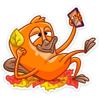 🤳 ptak, kaczka, selfie, kreskówka, zrelaksowany, liście, zwierzę telegram sticker