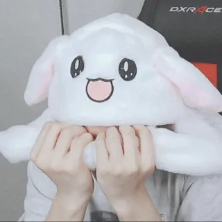 ✨ bunny hat, cute, kawaii, rabbit, person, plushie, hat telegram sticker