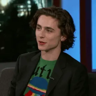 🥀 Timothée Chalamet diễn viên, người nổi tiếng, người, Timothée Chalamet telegram sticker