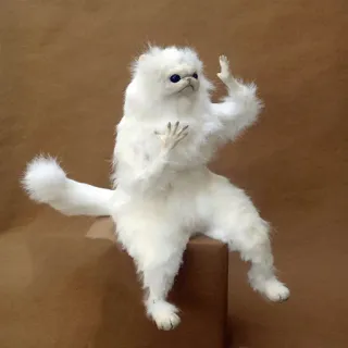 😕 kucing, putih, meme, lucu, makhluk, hewan, aneh telegram sticker