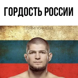 👍 Khabib Nurmagomedov ГОРДОСТЬ РОССИИ TEAM KHABIB ruso, luchador, mma, khabib, deportes, rusia whatsapp sticker