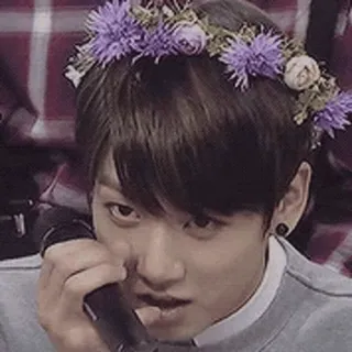 🥴 corona di fiori, persona, microfono, K-pop, cantante, ritratto telegram sticker