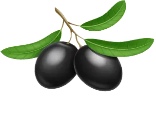 🍈 aceituna, comida, planta, hojas, fruta telegram sticker