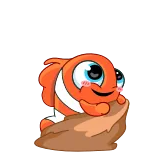 🥳 물고기, 귀여운, 주황색, 만화, 동물, 스티커 telegram sticker