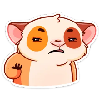 🤨 criceto, animale, carino, cartone animato, meme telegram sticker