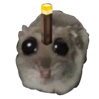 🔦 Japanese dwarf flying squirrel Minecraft squirrel, minecraft, torch, funny, cute, animal, meme, rodent telegram sticker
