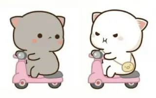 🤨 gatto, scooter, carino, cartone animato, animale telegram sticker