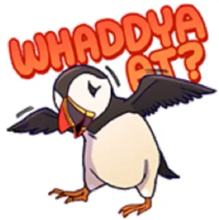 😜 WHADDYA AT? pulcinella di mare, uccello, cartone animato, domanda telegram sticker