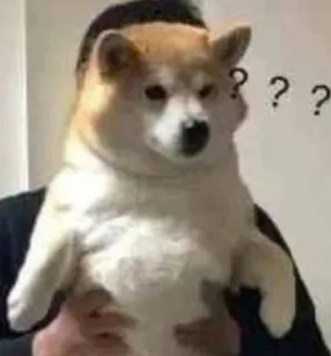 ❓ ??? anjing, shiba inu, tanda tanya, bingung, meme telegram sticker