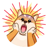 😱 doge, dog, meme, shiba inu, happy whatsapp sticker