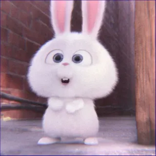 🤯 Snowball The Secret Life of Pets bunny, rabbit, white, fluffy, cartoon, animal whatsapp sticker