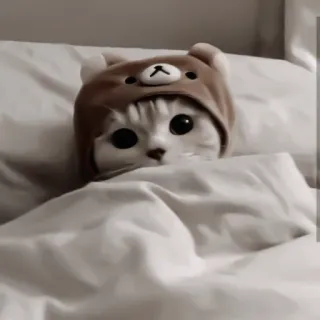 ♻️ gato, lindo, animal, mascota, cama, dormir, gorro de oso telegram sticker