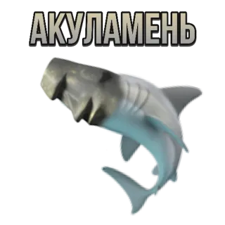 🦈 АКУЛАМЕНЬ Cá mập, Động vật, Chữ Kirin, Sinh vật biển telegram sticker