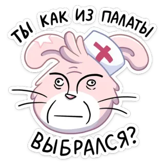 👩‍⚕️ ТЫ КАК ИЗ ПАЛАТЫ ВЫБРАЛСЯ? y tá, thỏ, bệnh viện, hoạt hình, động vật, câu hỏi, nga telegram sticker