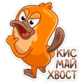 🖕 КИС МАЙ ХВОСТ Kreskówka, Ptak, Obraźliwe, Slang, Kaczka, Zwierzę telegram sticker