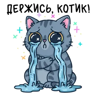 😢 ДЕРЖИСЬ, КОТИК! telegram sticker