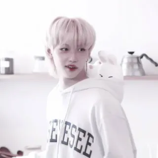 🐣 EYESEE kpop, idol, felix, stray kids, weißer hoodie telegram sticker