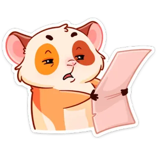 😑 criceto, animale, cartone animato, leggere, carta, confuso telegram sticker