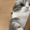 👊