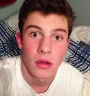 😐 Shawn Mendes singer, celebrity, musician, pop star, young adult, male, portrait telegram sticker