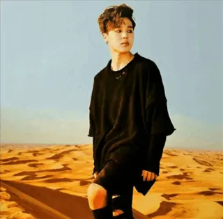 ✨ Jimin Jimin, BTS, K-pop, Idol, Musik, Penyanyi, Gurun, Potret whatsapp sticker