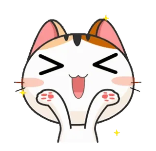 👏 kot, słodki, szczęśliwy, zwierzę, naklejka, kawaii whatsapp sticker