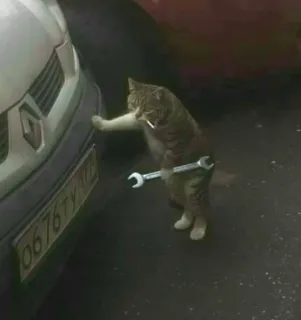 🚗 gatto, chiave inglese, meccanico, animale, divertente, riparazione auto telegram sticker