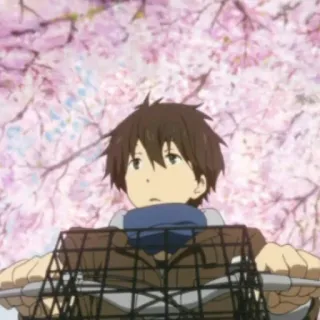 🌿 アニメ, 少年, 自転車, 桜, 春 telegram sticker
