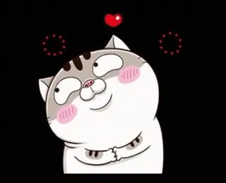 ❤️ mèo, hoạt hình, tình yêu, trái tim, động vật, dễ thương whatsapp sticker